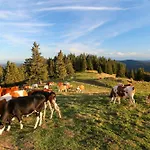 Bergblick Konukevi Bernau im Schwarzwald