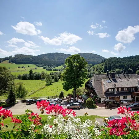 Bergblick Apartment *