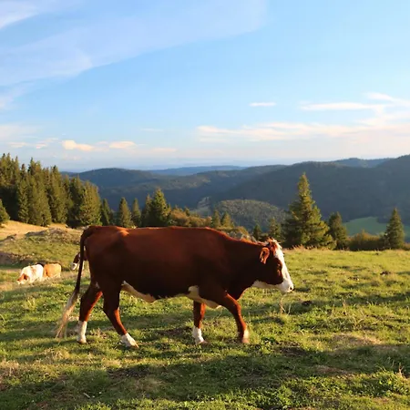 Konukevi Bergblick Bernau im Schwarzwald