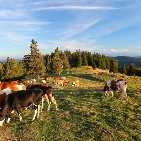 Bergblick Konukevi Bernau im Schwarzwald