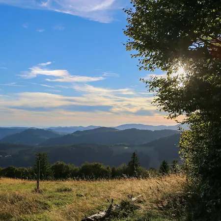 Bergblick Bernau im Schwarzwald