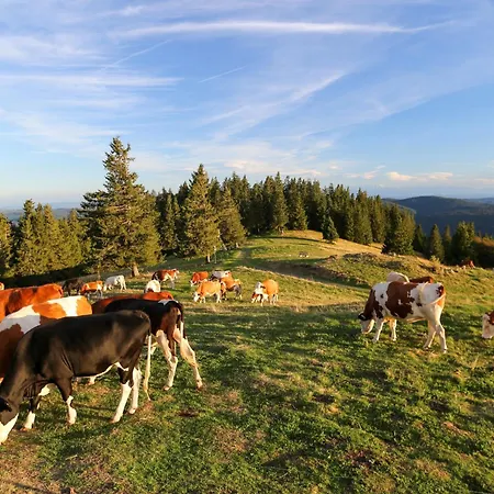 Bergblick Pensjonat 3*