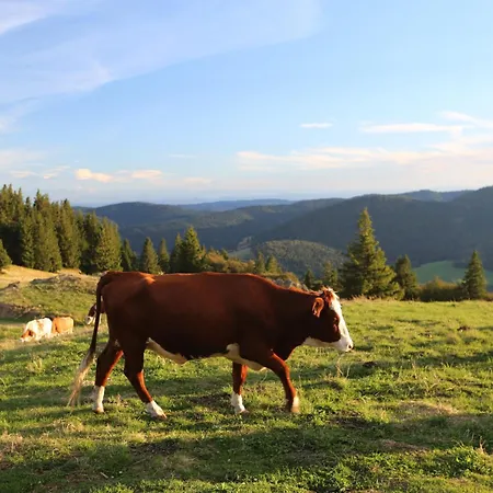 Bergblick Pensjonat